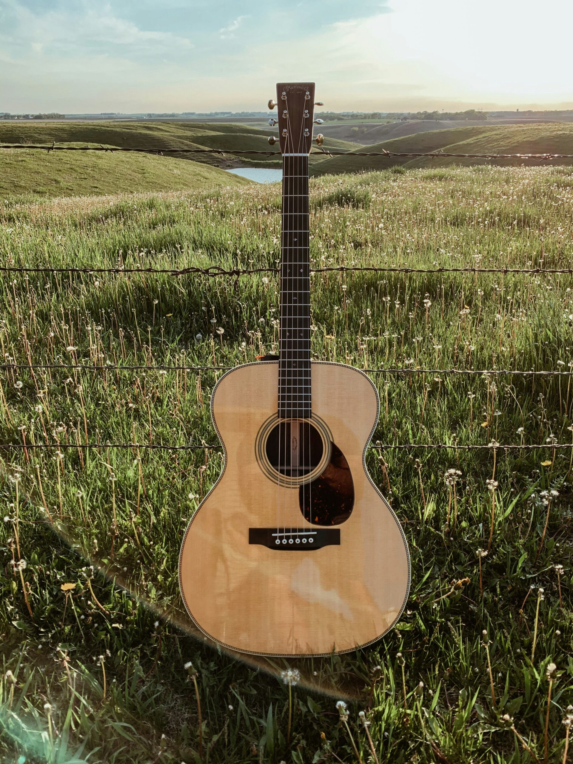 Guitar in Field